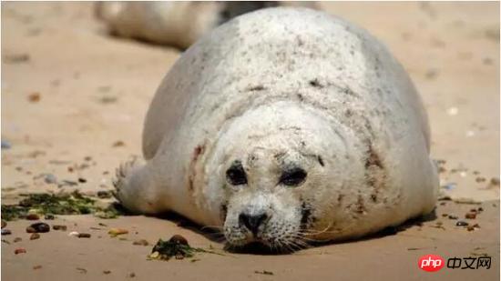 1520989906729933.jpg 1.jpg